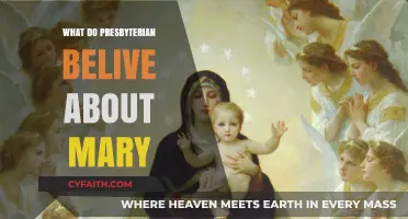 Presbyterian Views on Mary: Theology, Role, and Biblical Interpretation