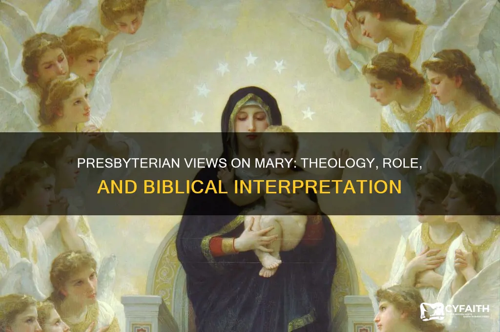 what do presbyterian belive about mary