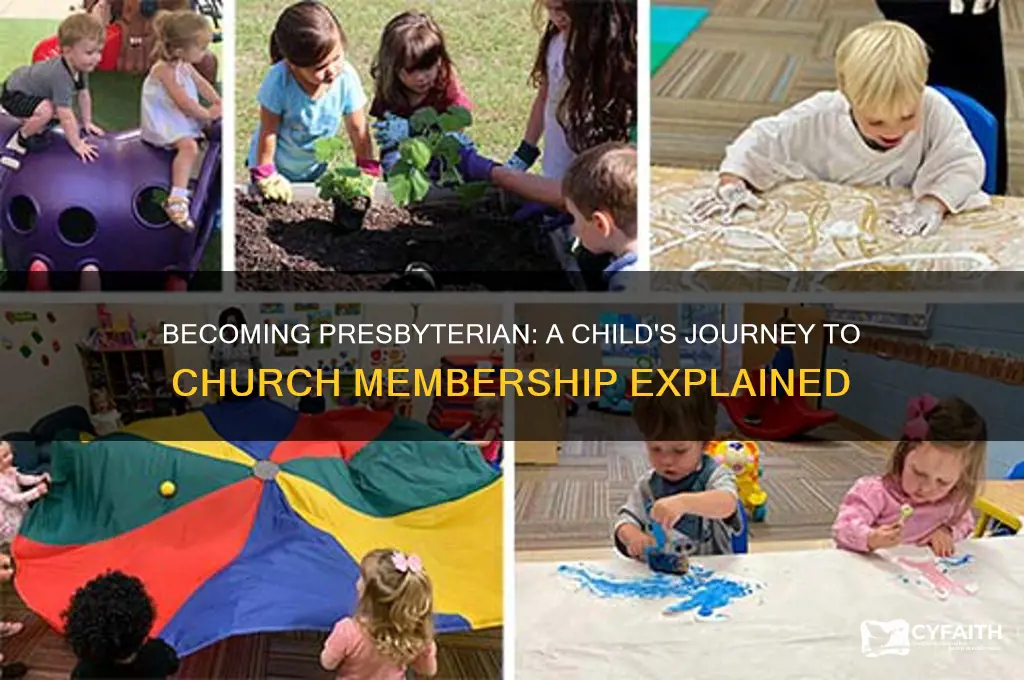 what do presbyterian children go through to become members