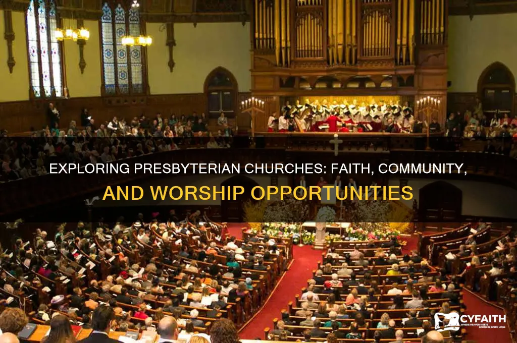 what do presbyterian churches offer