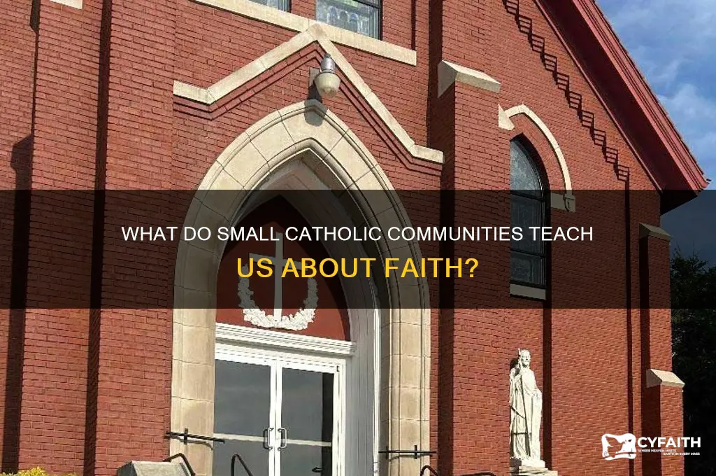 what do small catholic