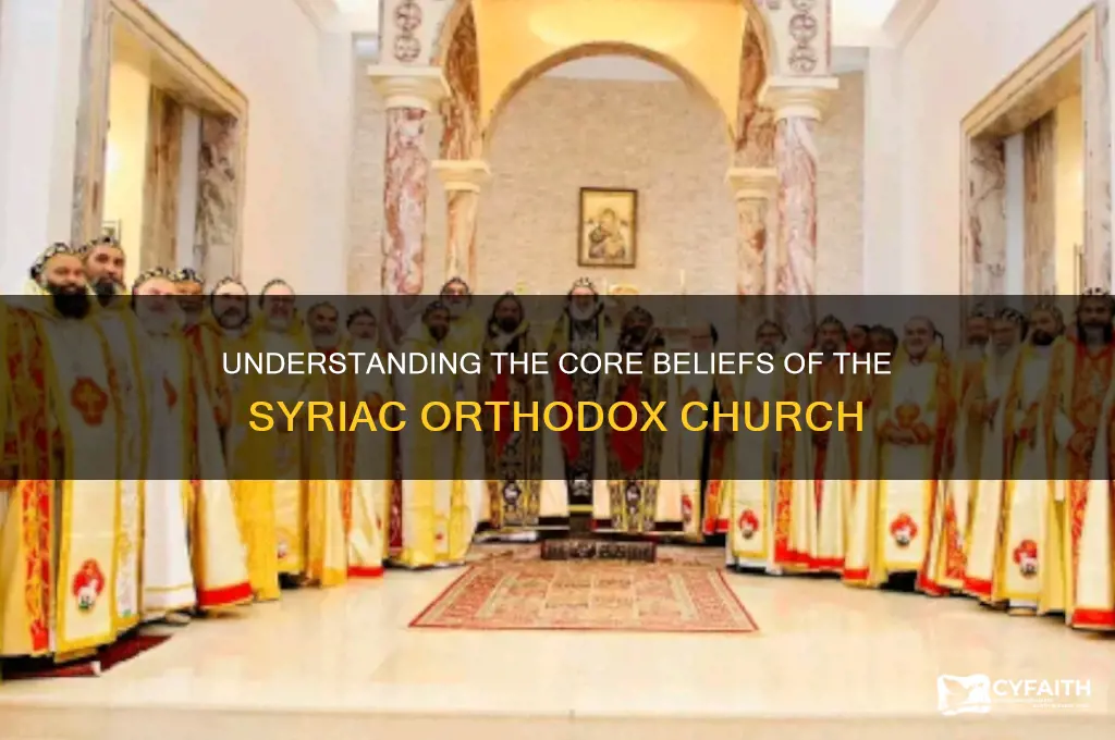 what do syriac orthodox believe