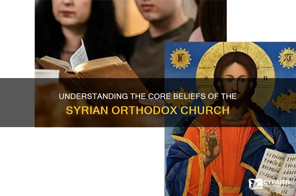what do syrian orthodox believe