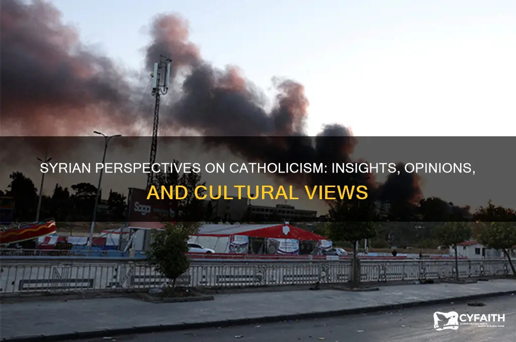 what do syrians think about the catholics