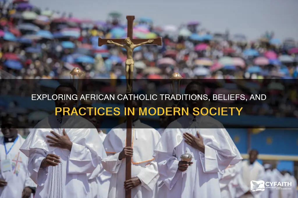 what do the african catholic