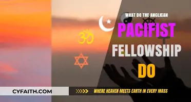 Understanding the Anglican Pacifist Fellowship's Mission and Activities