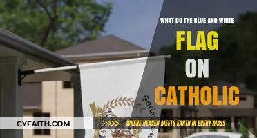 Understanding the Blue and White Flag's Significance in Catholic Tradition