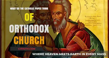 Catholic Popes' Perspectives on the Orthodox Church: Unity and Differences
