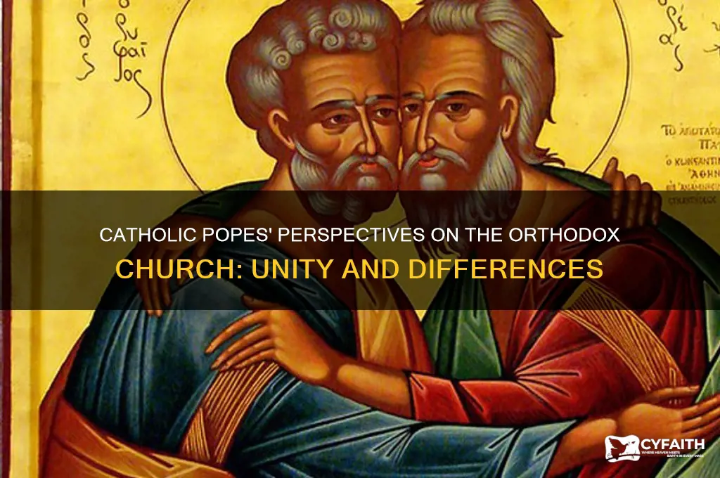 what do the catholic popes think of orthodox church