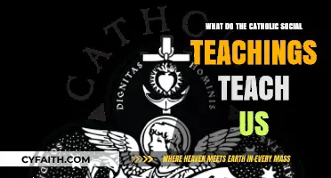 Catholic Social Teachings: Lessons for Justice, Charity, and Human Dignity