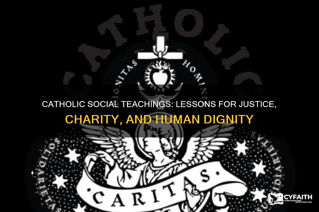 what do the catholic social teachings teach us