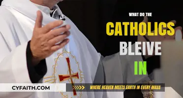 Understanding Core Catholic Beliefs: Faith, Sacraments, and Salvation Explained