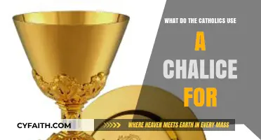 The Sacred Purpose of the Chalice in Catholic Liturgy