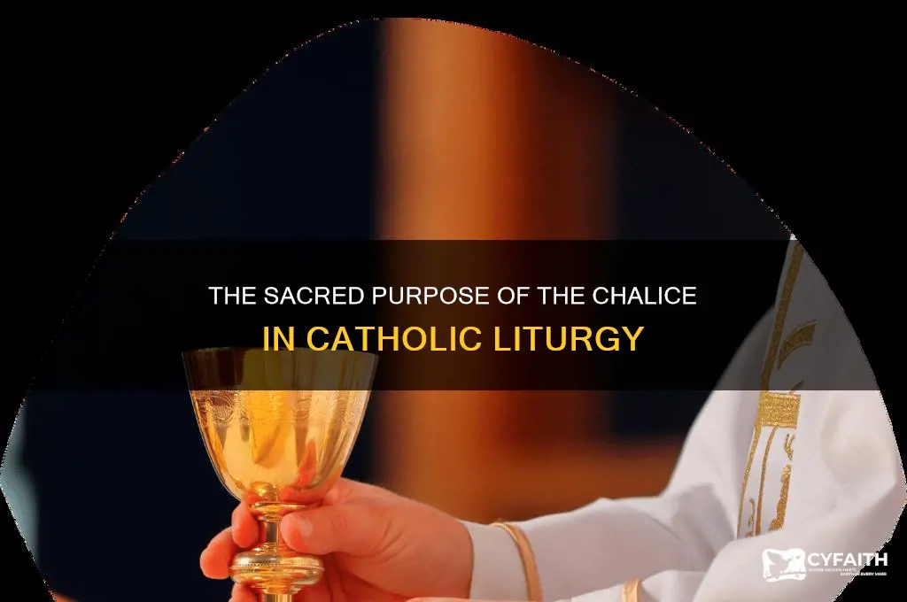 what do the catholics use a chalice for