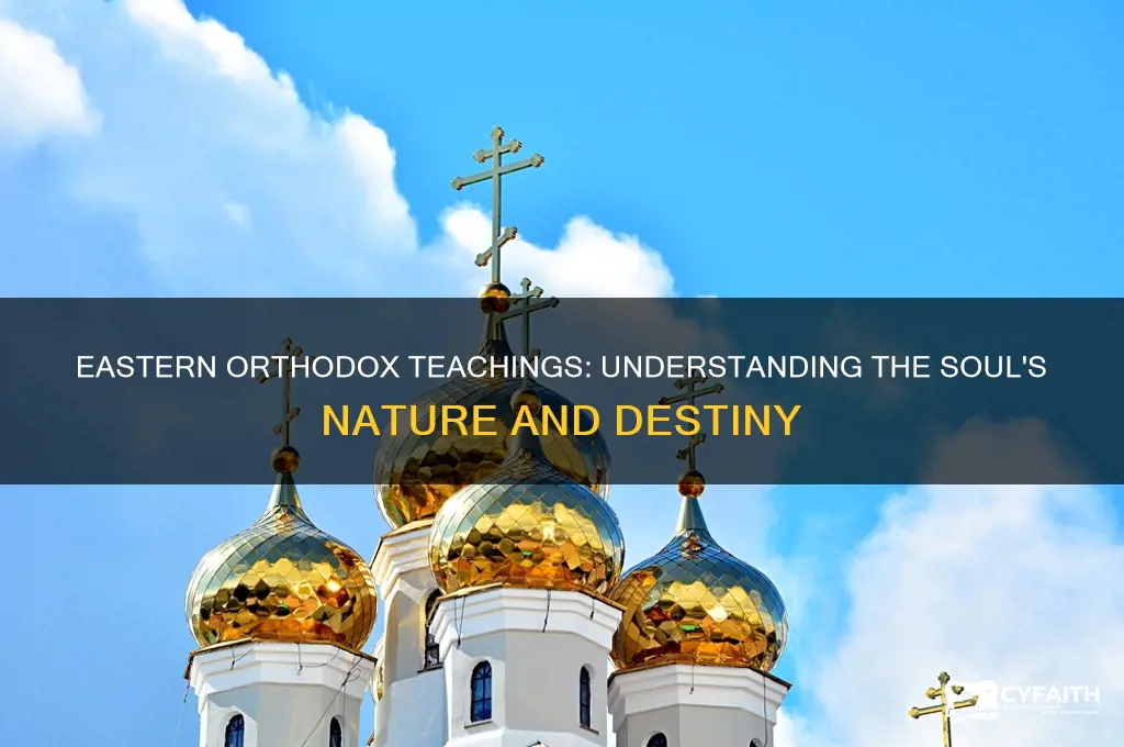 what do the eastern orthodox believe about the soul
