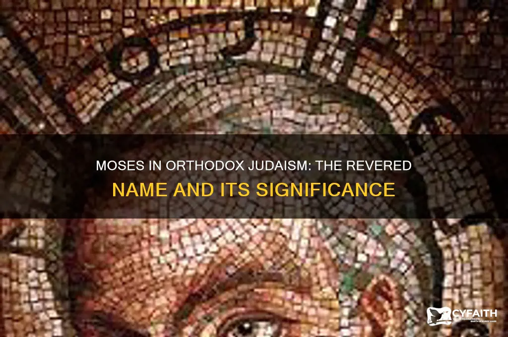 what do the jewish orthodox call moses