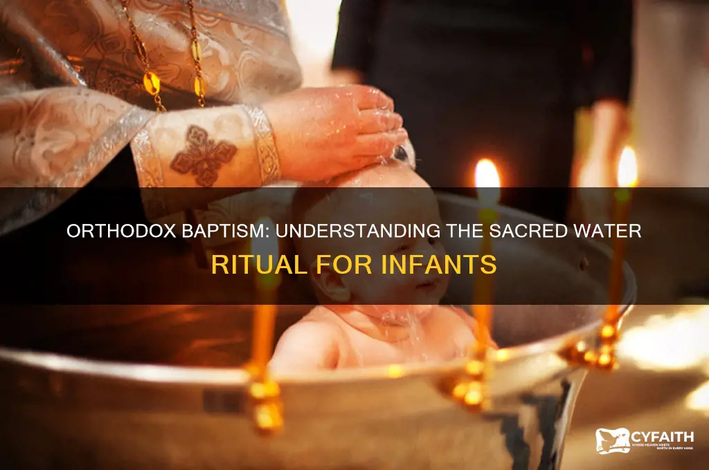 what do the orthodox baptize the babies in