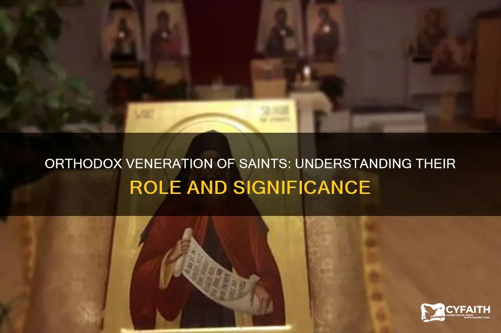 what do the orthodox believe about saints