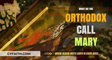 The Orthodox Veneration of Mary: Her Sacred Titles and Significance