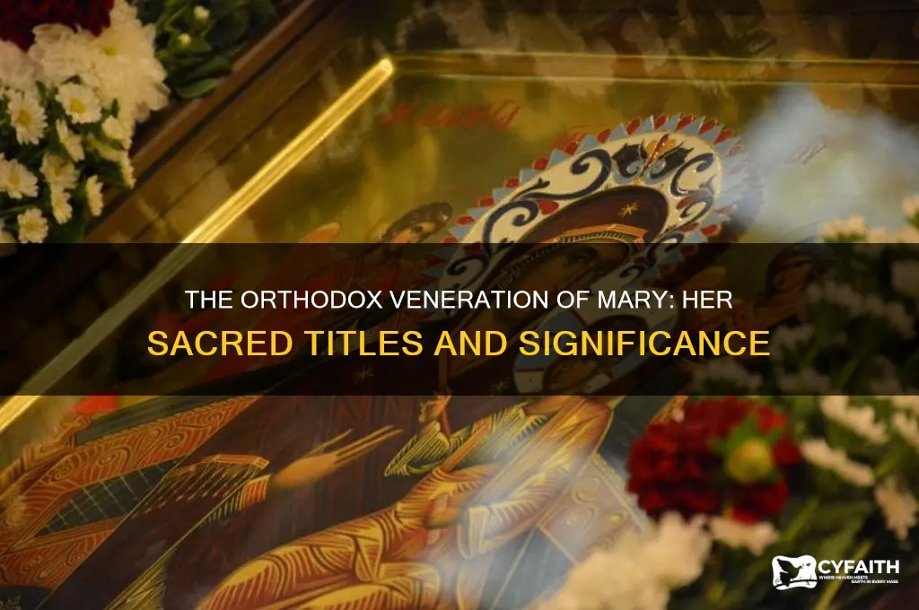 what do the orthodox call mary