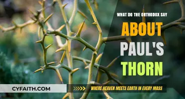 Paul's Thorn: Orthodox Insights on the Apostle's Enduring Struggle