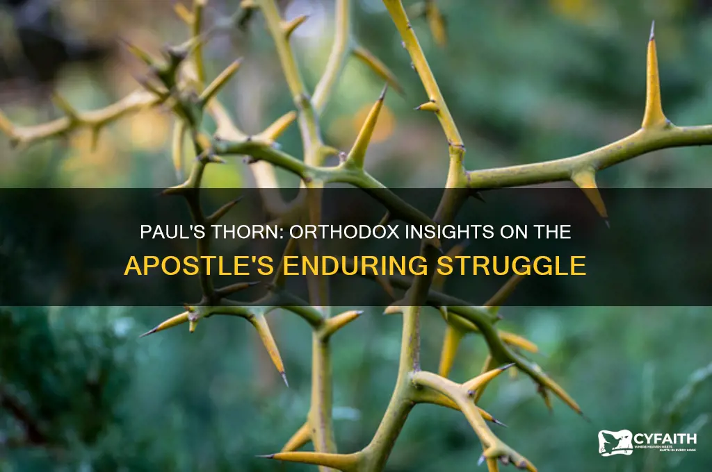 what do the orthodox say about paul