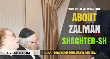 Orthodox Perspectives on Rabbi Zalman Schachter-Shalomi's Legacy and Influence