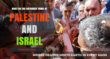 Orthodox Perspectives on Palestine and Israel: Faith, History, and Politics