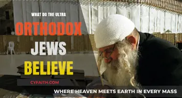 Understanding Ultra-Orthodox Jewish Beliefs: Core Principles and Practices Explained