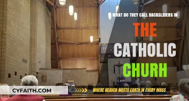 Understanding the Catholic Church's Term for Those Who Leave the Faith