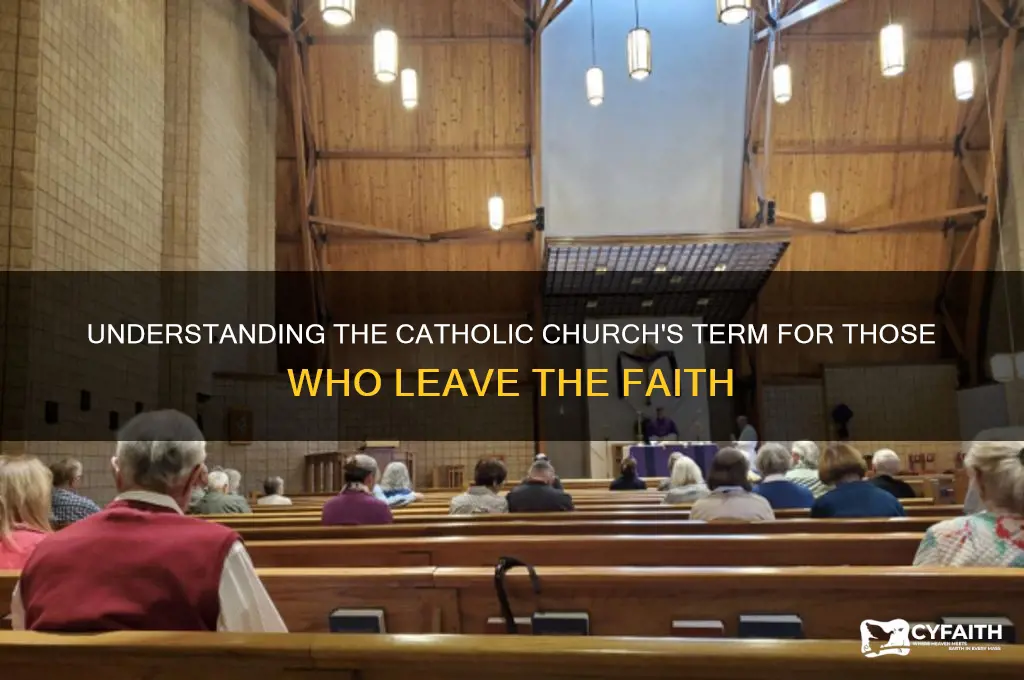 what do they call backsliders in the catholic churh