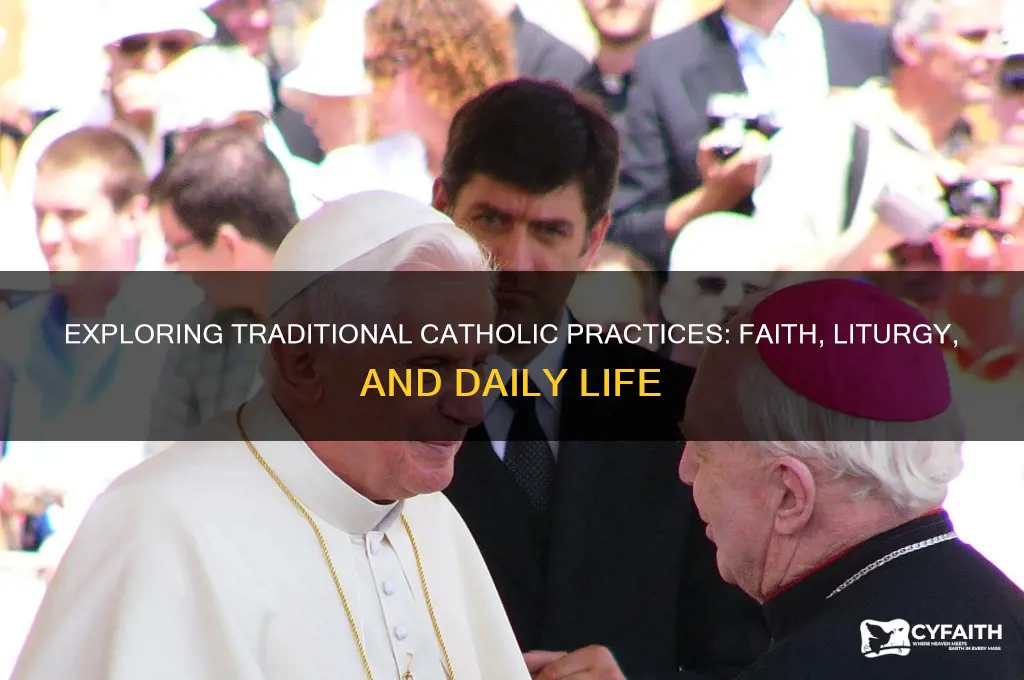 what do traditional catholics do