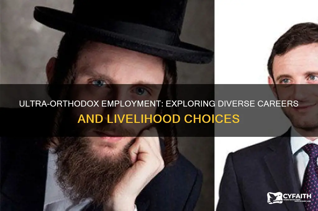 what do ultra orthodox do for work