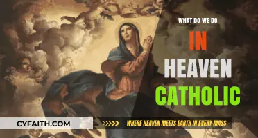 Catholic Visions of Heaven: Eternal Joy, Worship, and Divine Union