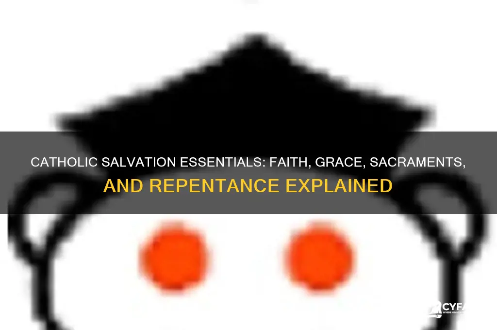 what do we need to have salvation catholic