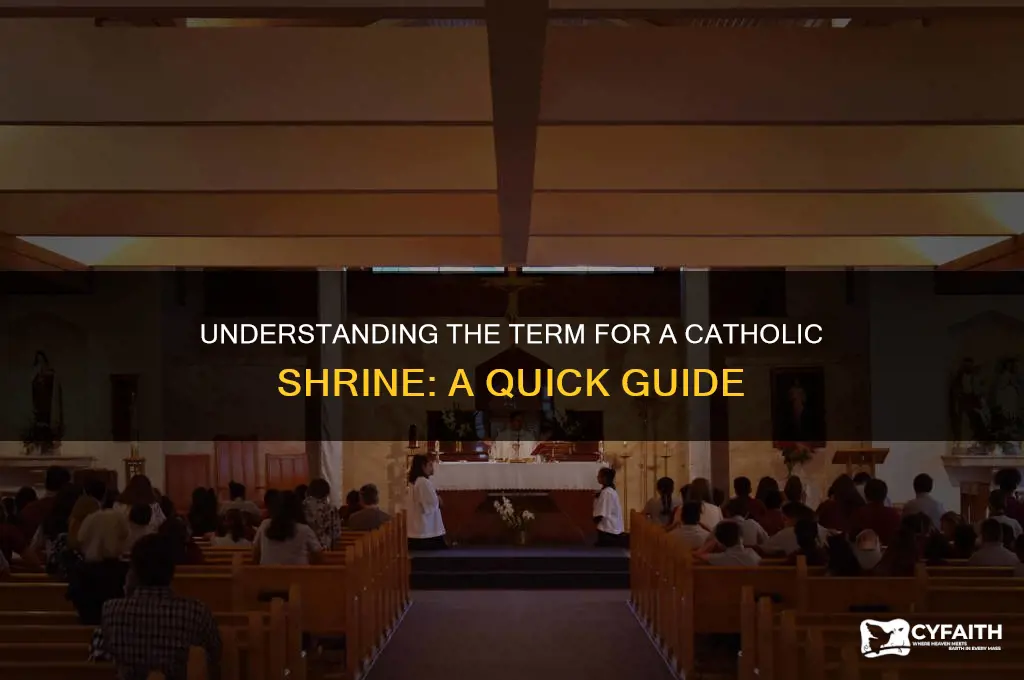 what do you call a catholic ahrine