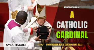 Understanding the Title: What Do You Call a Catholic Cardinal?