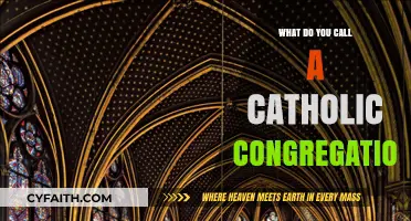 Understanding the Term for a Catholic Congregation: A Comprehensive Guide