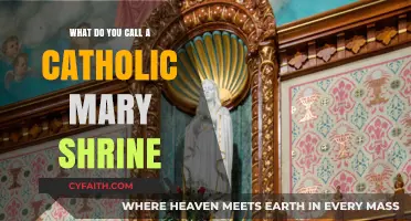 Understanding the Name of a Catholic Mary Shrine: A Guide