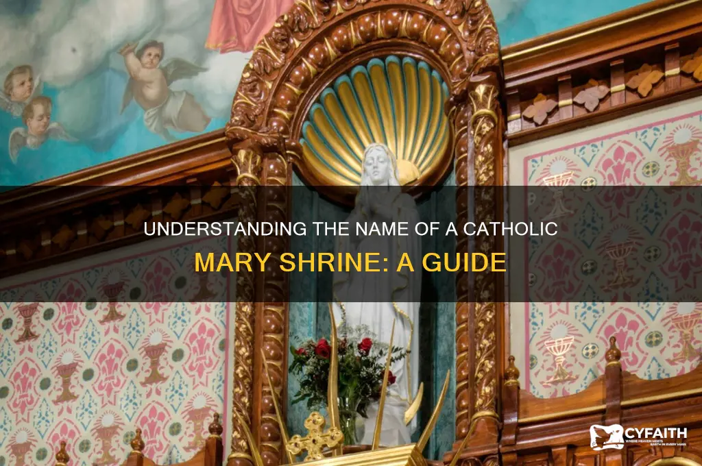 what do you call a catholic mary shrine
