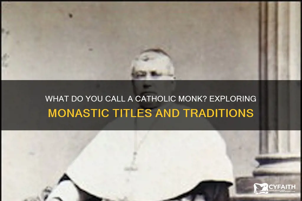 what do you call a catholic monk