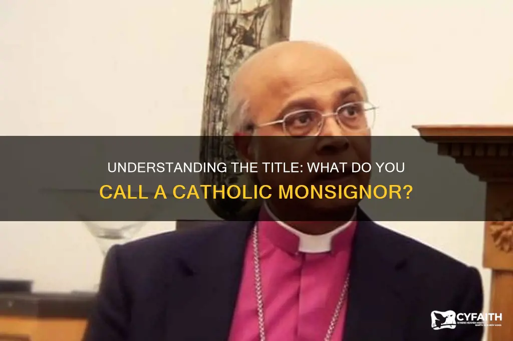 what do you call a catholic monsignor