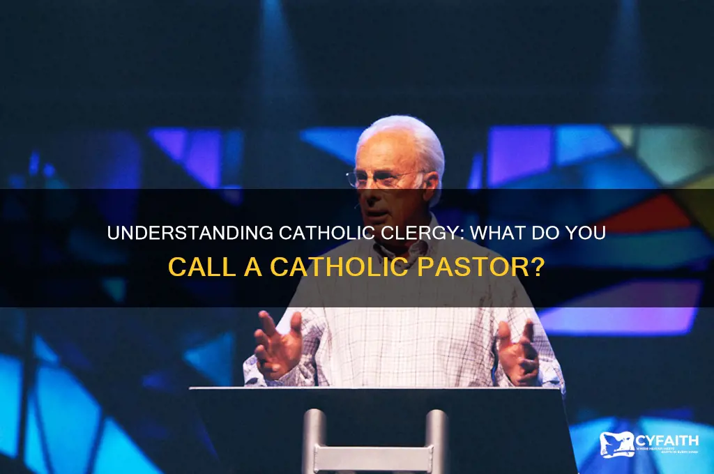 what do you call a catholic pastor