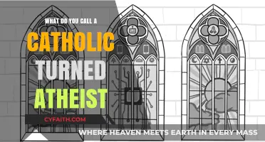 From Faith to Doubt: The Journey of a Catholic-Turned-Atheist