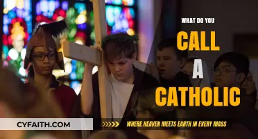 Understanding Catholic Identity: What Do You Call a Catholic?