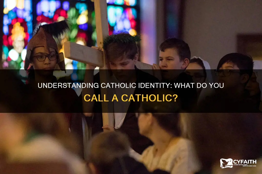 what do you call a catholic