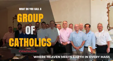 What Do You Call a Group of Catholics? Exploring Collective Terms