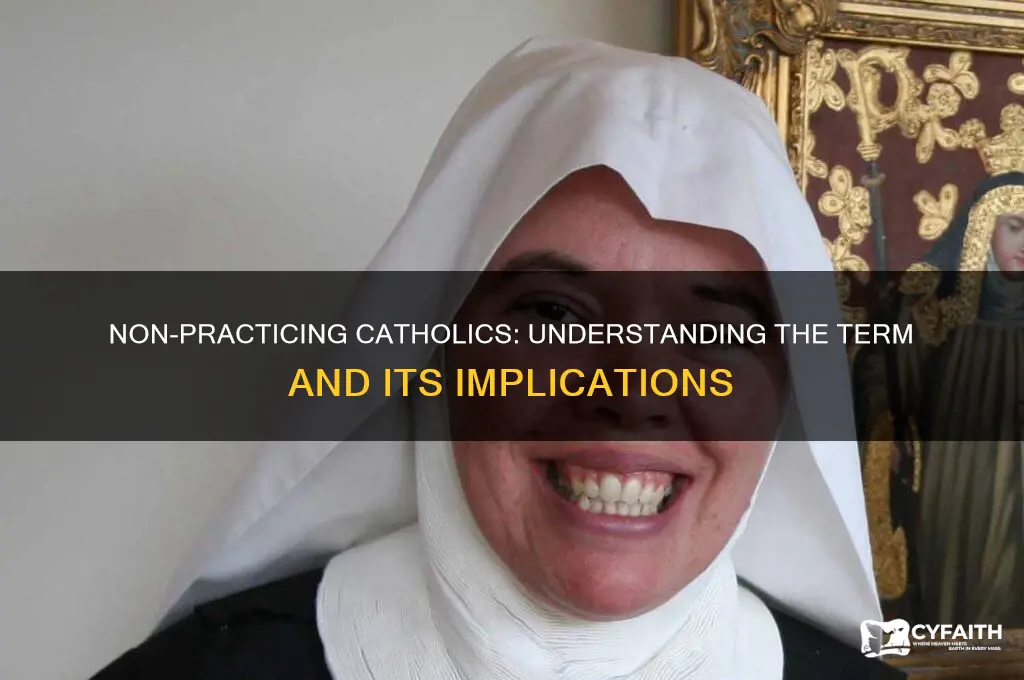 what do you call a non practicing catholic