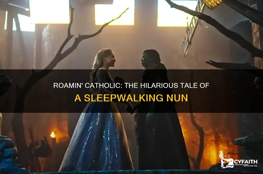 what do you call a sleep-walking nun a roamin catholic