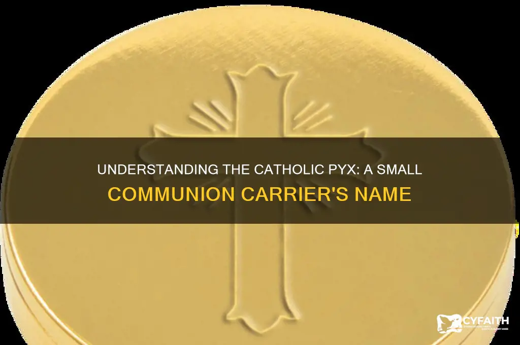 what do you call a small communion carrier catholic